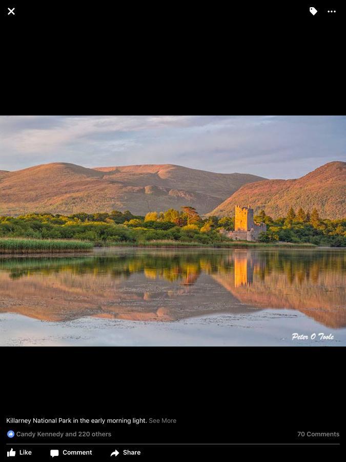 Cherry Tree Accommodation Cill Airne Esterno foto